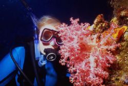 Finding soft coral was easy at the Fathers Reef area Off ... by Jerry Hamberg 